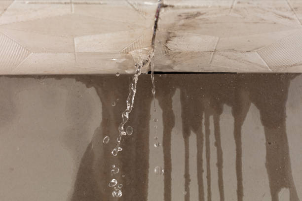 Professional Water Damage Repair technician working in Spring City, UT